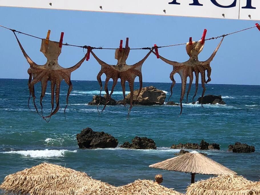 W Apartment Chania  Zewnętrze zdjęcie